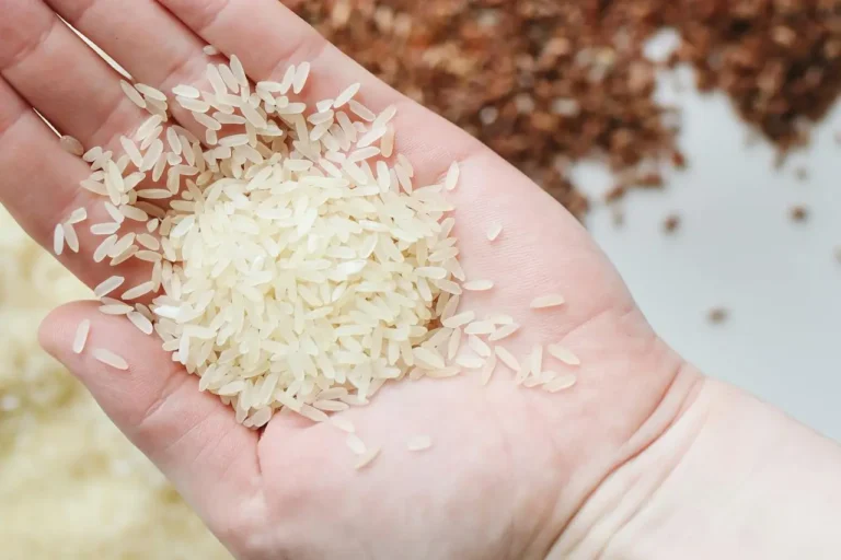 Czy ryż jest zdrowy na jelita? Fakty, które warto znać